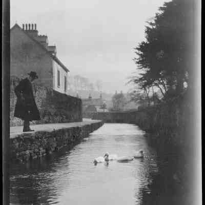 negative, sheet film - Tems Beck, Giggleswick