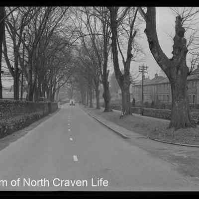 negative, sheet film - Falcon Road, Settle 1 of 5
