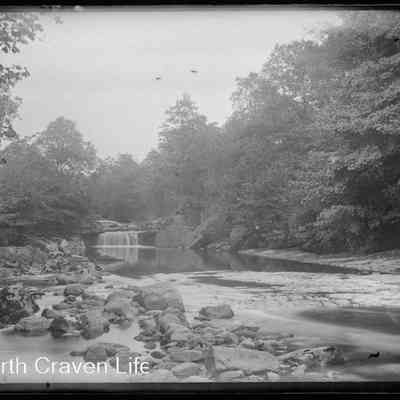 negative, glass plate - Stainforth Foss