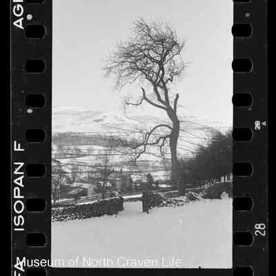 negative, sheet film - Snow Views : Pen-y-Ghent (1937)