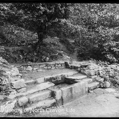 negative, glass plate - Ebbing and Flowing Well