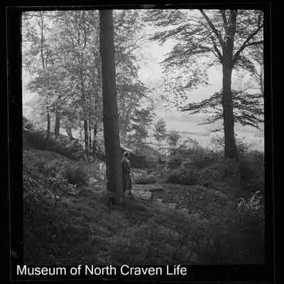negative, sheet film - The Riddings, Long Preston
