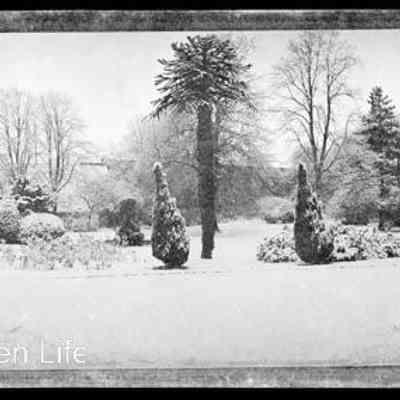 negative, sheet film - Settle - Whitefriars before construction of Car Park 4 of 4