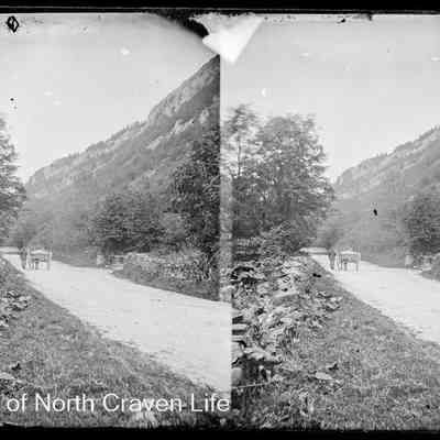 negative, glass plate - Buckhaw Brow from Giggleswick