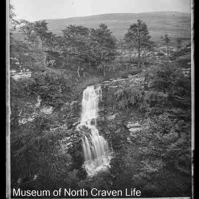 negative, glass plate - Scaleber Force