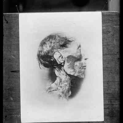 negative, glass plate - Mummified head of Ramesses II