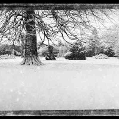 negative, sheet film - Settle - Whitefriars before construction of Car Park 2 of 4