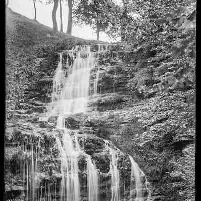 negative, glass plate - Scaleber Force