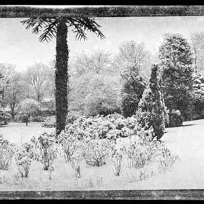 negative, sheet film - Settle - Whitefriars before construction of Car Park 1 of 4