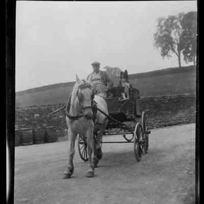 negative, sheet film - Horse and Cart (Butcher)
