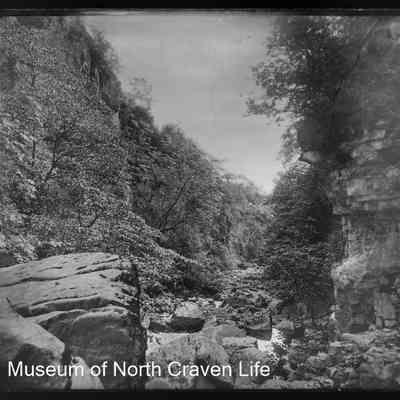 negative, glass plate - Ling Gill