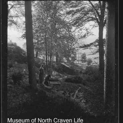 negative, sheet film - The Riddings, Long Preston (2 on strip of 2)