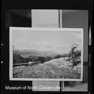 negative, sheet film - Unidentified Limestone views 1 of 2
