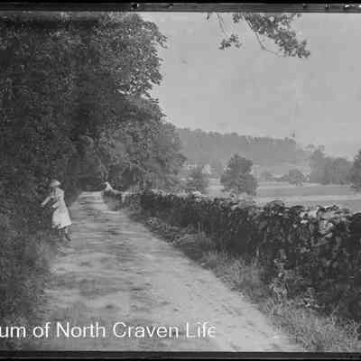 negative, glass plate - Little Stainforth Road