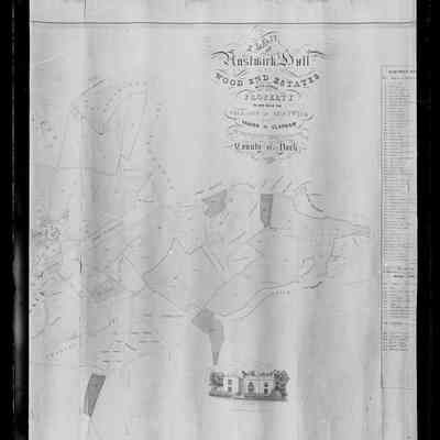 negative, glass plate - Austwick Hall Estate Map (1 of 3)