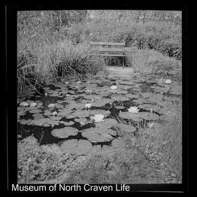 negative, sheet film - The Riddings, Long Preston