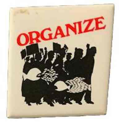 Organize