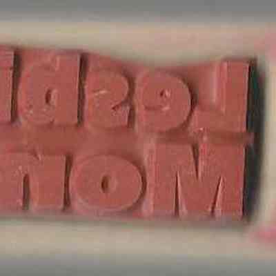 Lesbian Money: Rubber stamp side