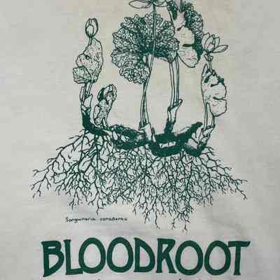 Bloodroot Feminist Restaurant & Bookstore (with address)