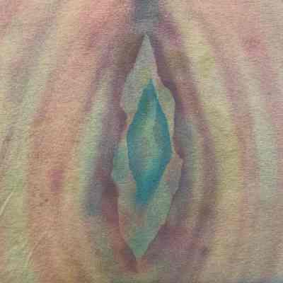 Pastel Vagina / Vulva