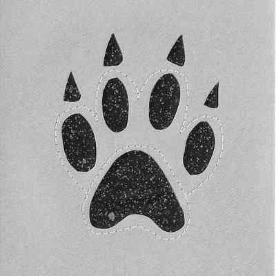 Bear Paw