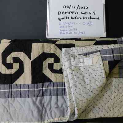 Untitled (Snail’s Trail or Indiana Puzzle)