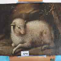          Lamb picture number 7
