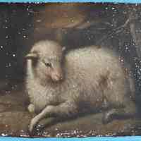          Lamb picture number 8
