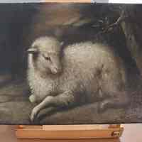          Lamb picture number 9
