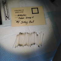          Sitting Bull picture number 14
