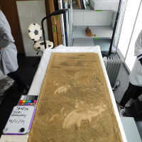          Client: Smith. Item: Japanese Embroidery with Cranes picture number 200
