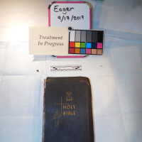          Family Bible picture number 6
