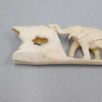          Ivory Tusk picture number 5
