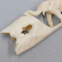          Ivory Tusk picture number 6
