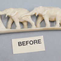          Ivory Tusk picture number 7
