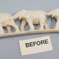          Ivory Tusk picture number 8
