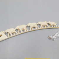          Ivory Tusk picture number 10
