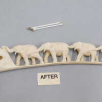          Ivory Tusk picture number 11
