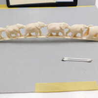          Ivory Tusk picture number 13
