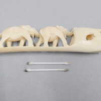          Ivory Tusk picture number 14
