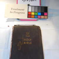          Family Bible picture number 7
