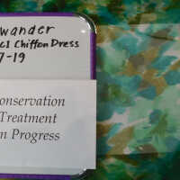          Client: Zwander. Item: Ricci Chiffon Dress picture number 12
