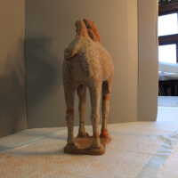          Camel picture number 43
