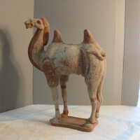          Camel picture number 46
