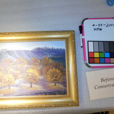 Autumn Trees Landscape
