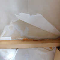          Japanese Screen picture number 118

