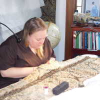          Drapery picture number 9
