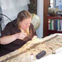          Drapery picture number 10
