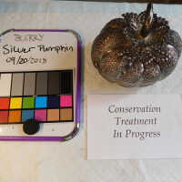          Silver Pumpkin picture number 6
