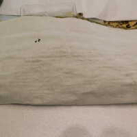          Drapery picture number 116
